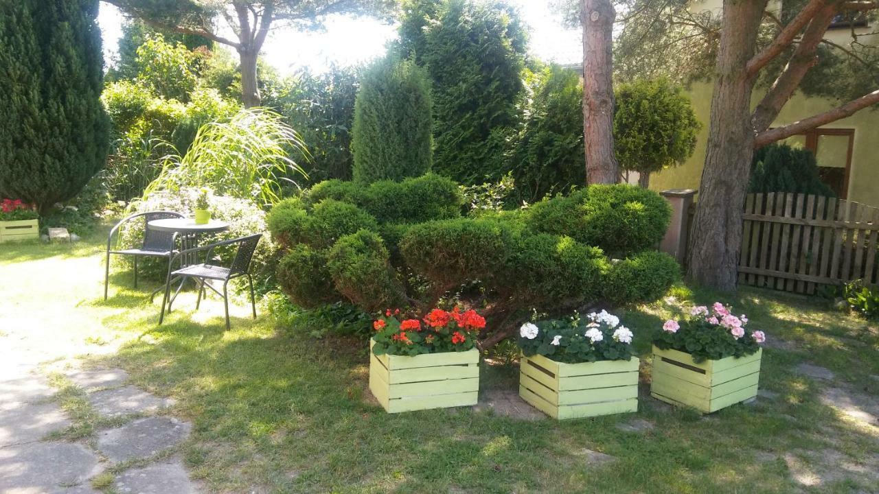 Appartamento Cichy Zakatek Sianozety Esterno foto